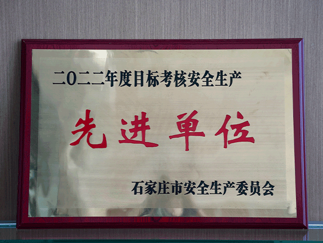 2022年度指标查核安全出产先进单元-市安全出产委员会.png