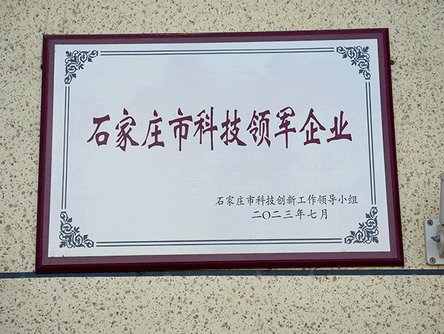 克拉玛依市科技领军企业-市科技创新工作辅导幼组202307.png